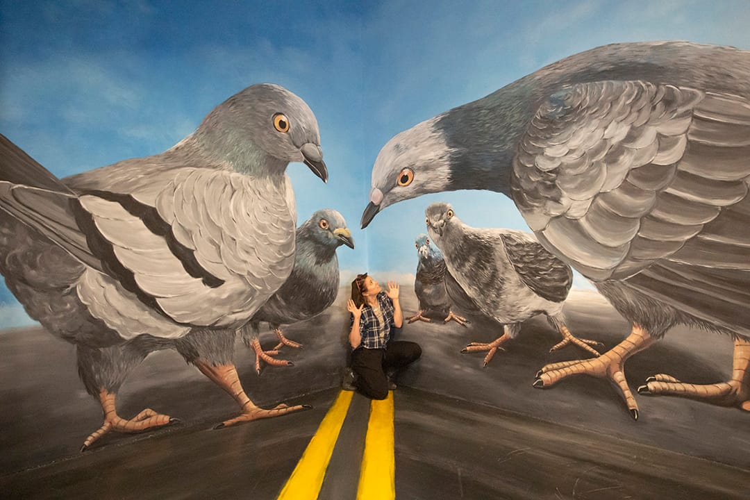 3D Trick Art Mural