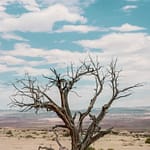Brandie Vincek, Landscape Photography