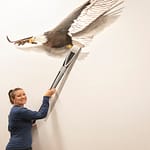 Jamie Vincek, Trick Art Mural
