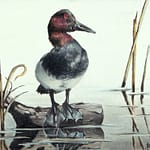 Jamie Vincek, Painting