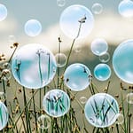 Brandie Vincek, Photo Manipulation