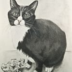 Jamie Vincek, Drawing