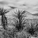 Brandie Vincek, Landscape Photography
