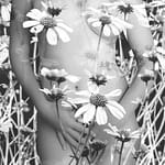 Brandie Vincek, Portait Photography