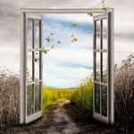 Brandie Vincek, Photo Manipulation