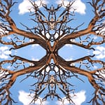 Brandie Vincek, Photo Manipulation