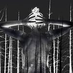 Brandie Vincek, Photo Manipulation