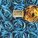 Brandie Vincek, Still Life Photography