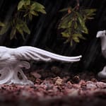 Brandie Vincek, Still Life Photography