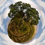 Brandie Vincek, Photo Manipulation