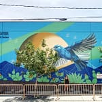 Jamie Vincek, Mural