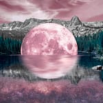 Brandie Vincek, Photo Manipulation