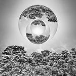 Brandie Vincek, Photo Manipulation